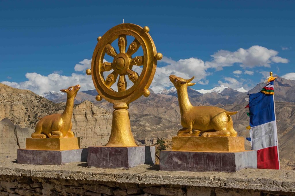 Dharma wheel